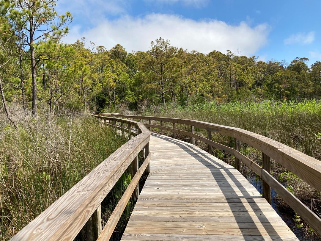 Things To Do Hammock Hills Nature Trail